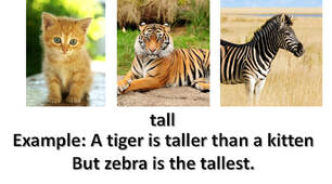Animals (superlatives), 3 grade
