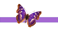 05000z3x-eca5-226x127.png