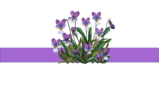 05000z43-9f04-226x127.png