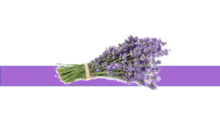 05000zat-8915-318x178.png