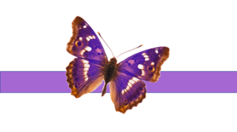 0500107y-7c09-940x527.png