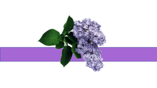 05001083-0b8a-940x527.png