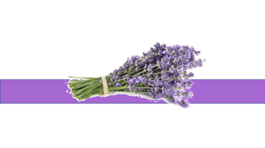 05001084-e69e-940x527.png