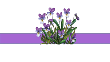 0500108a-a8a3-940x530.png
