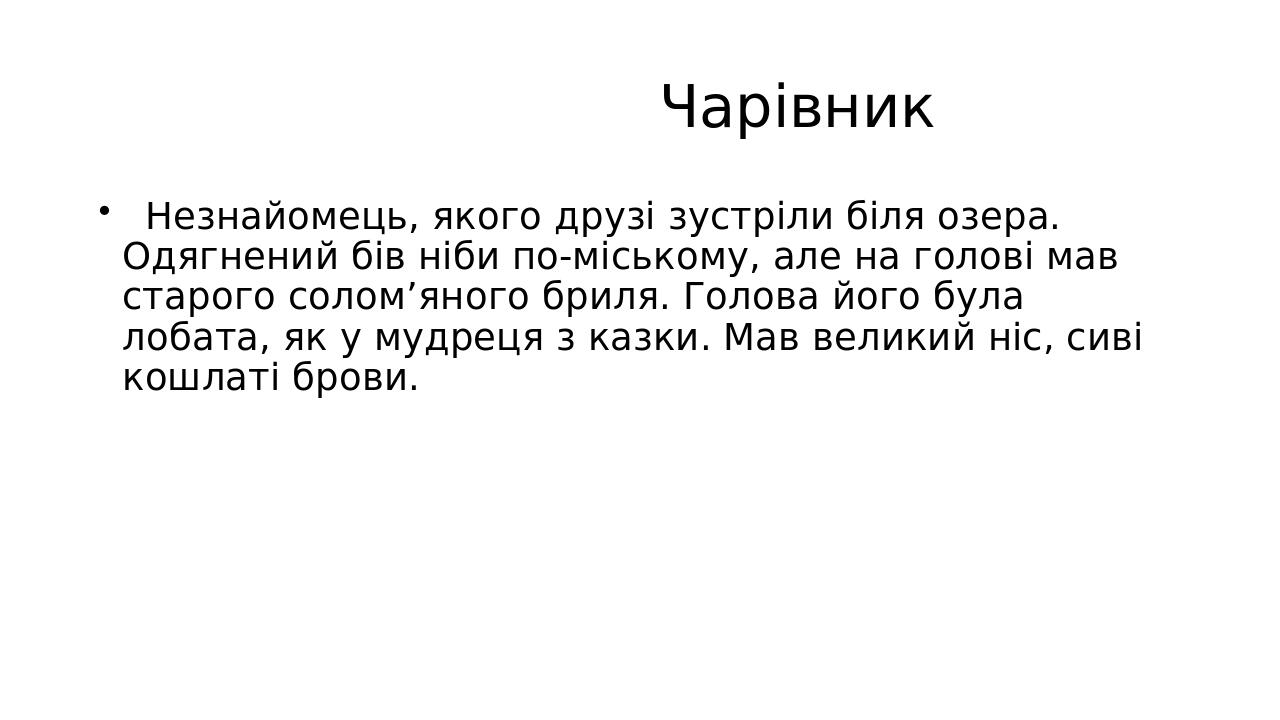 Чарівник Незнайомець, якого друзі зустріли біля озера. Одягнений бів ніби по-міському, але на голові мав старого солом’яного бриля. Голова його бул...