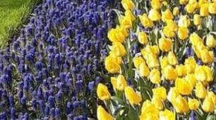 Методичні рекомендації з розробки проєктів.