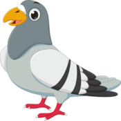 050012p5-0bd5-175x175.png