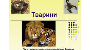 Презентація "Узагальнення знань за темою "Тварини"