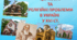 Церковні та релігійні проблеми в Україні XVI ст.