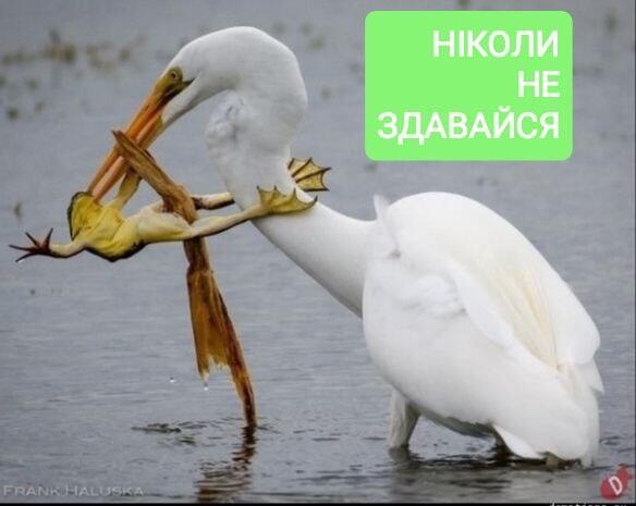 050015tk-ba4a-584x465.jpg