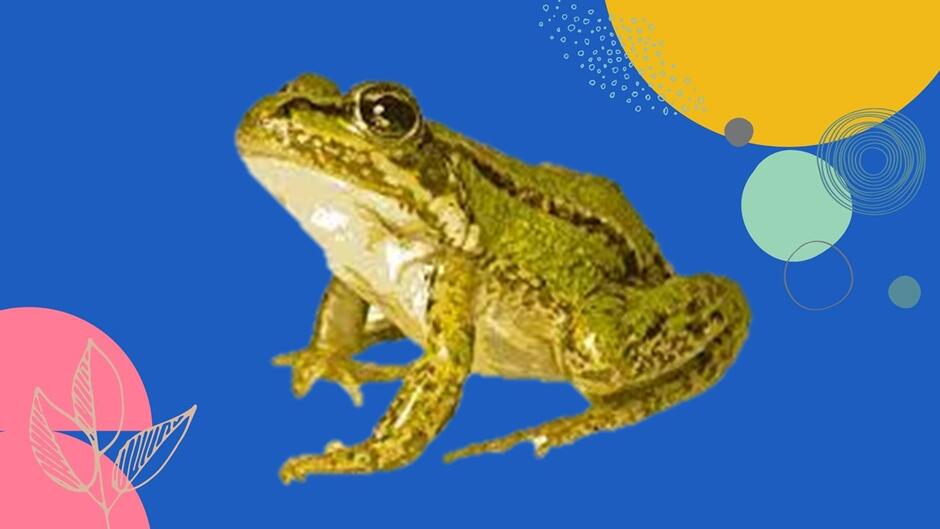 0500173l-c2de-940x529.jpg