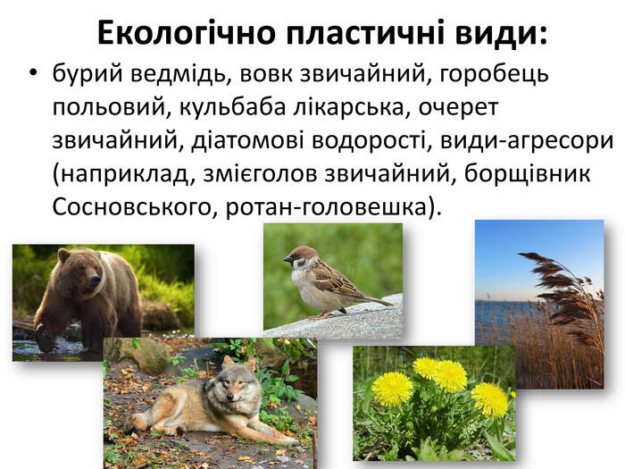 0500176d-dce3-700x525.jpg