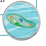 05001905-c920-92x91.png