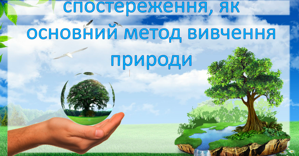 спостереження, як основний метод вивчення природи | . Довкілля