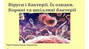 Презентація "Віруси і бактерії. Їх ознаки. Корисні і шкідливі бактерії"