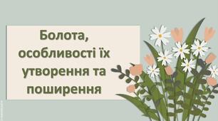 Презентація з географії 6 клас НУШ " Болота, особливості їх утворення та поширення."