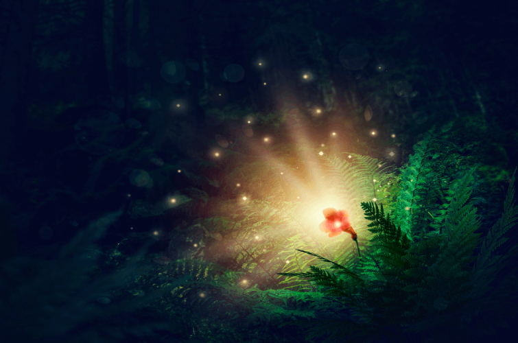 05001ckj-938f-755x500.png