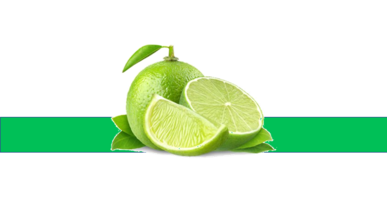 05001dut-2d40-387x218.png