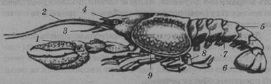 05001hd9-e937-387x120.jpg