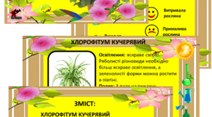 Середня група "Паспорт квітів"