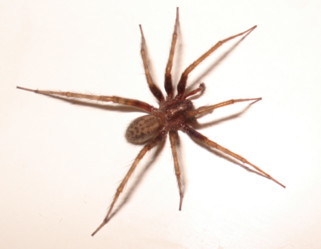05001hpn-d3c5-469x364.png