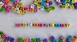 Роздруківка Smart Junior 4, Unit 1 (Vocabulary list)
