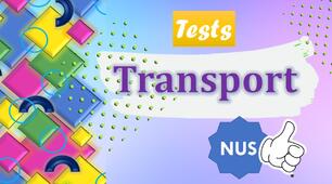 Transport.Тести на основі картинок.