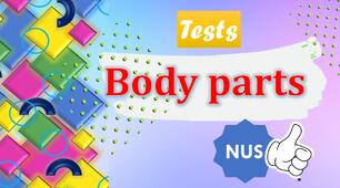 (Копія) Body Parts.Тести на основі картинок.