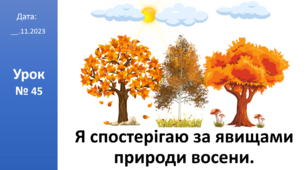 Презентація на тему: «Я спостерігаю за явищами природи восени» ЯДС 2 клас автор Большакова І.О.