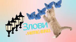 Дидактична гра "Злови метелика. Скорочення дробів". 6 клас, НУШ.