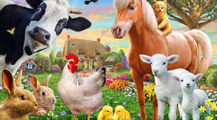 Презентація з англійської мови Farm Animals