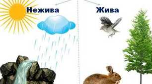 Діагностична робота "Жива і нежива природа"