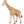 🦒