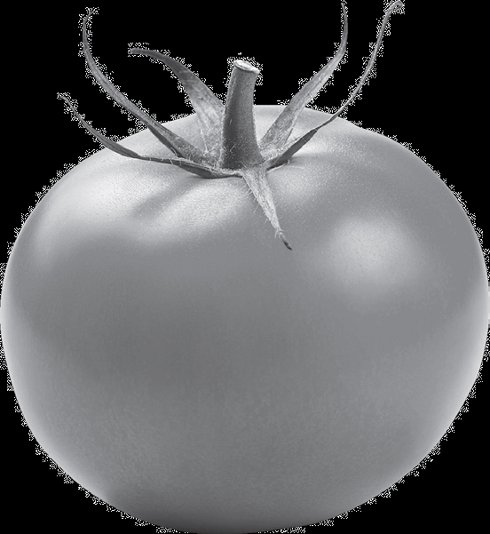 05001yv6-a7c1-552x601.png