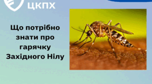 Що потрібно знати про гарячку Західного Нілу