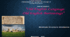 Presentation “Old English Language. Old English Borrowings” / "Давньоанглійська мова. Давньоанглійські запозичення“