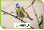 050023i0-3185-151x102.png