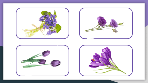 0500257l-b61b-600x338.png