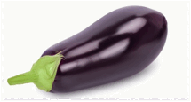 0500257v-383b-215x115.png