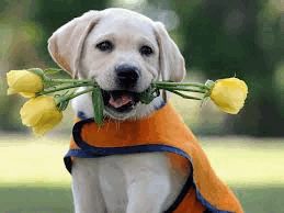 05002645-7a84-259x194.png
