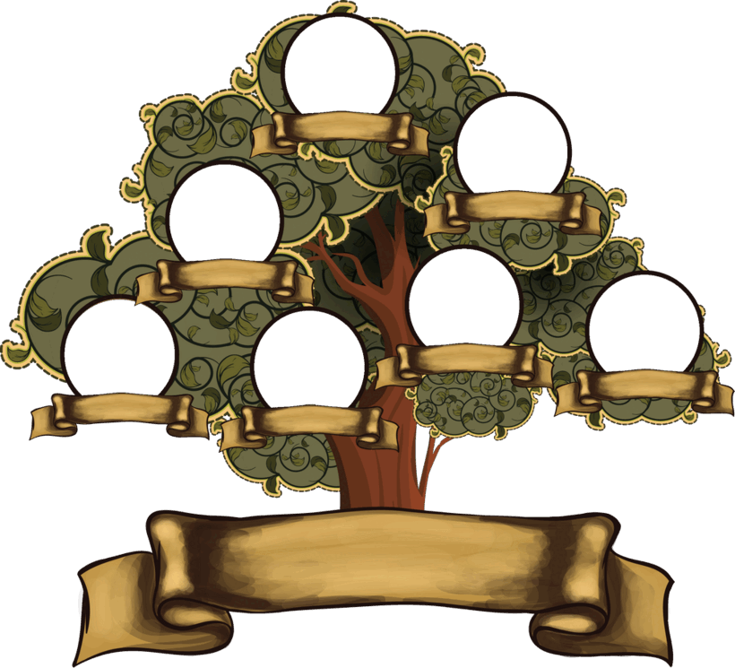 050026rd-1d4a-820x745.png