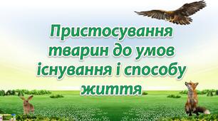 Презентація "Тварини та їх пристосування"
