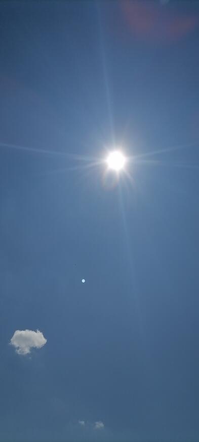 05002a1m-39e1-393x870.jpg