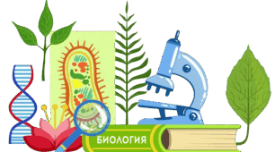 Календарне планування з біології 8 клас