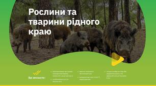 Ідеально сформовані уроки від корпорації «Ранок»