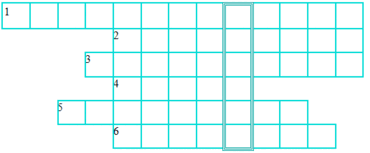 05002ccw-d4cc-370x153.png