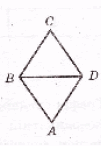 05002e6x-816f-212x306.png
