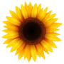 https://fs05.vseosvita.ua/05002fm6-b8b5-90x90.png