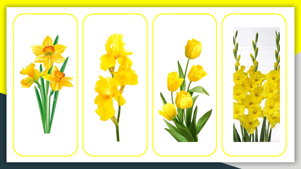 05002fsi-f98e-600x338.png