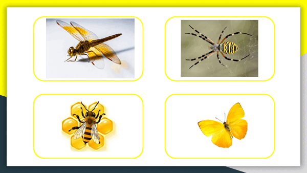 05002fuu-1b7a-600x338.png
